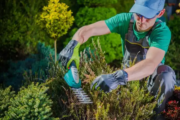 landscaping services Lawtell